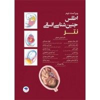 کتاب اطلس جنین‌شناسی انسانی نتر 2024